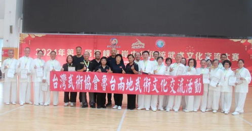 以武会友促交流 第九届海峡两岸中华传统武术文化交流大赛圆满收官