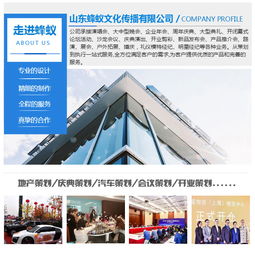 山东蜂蚁专业品牌 济南庆典策划报价与国内文化艺术交流活动策划全解析