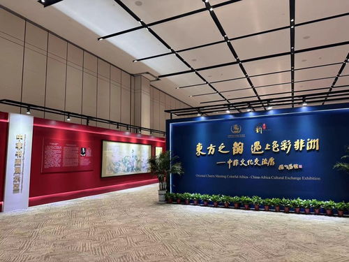 当东方之韵遇上色彩非洲 国内文化交流盛宴